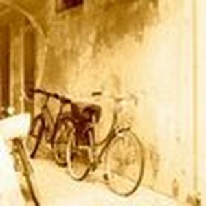 Meet your Posher, Caitlin